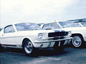 GT 350